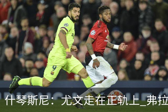 什琴斯尼：尤文走在正轨上 弗拉霍维奇非常出色
